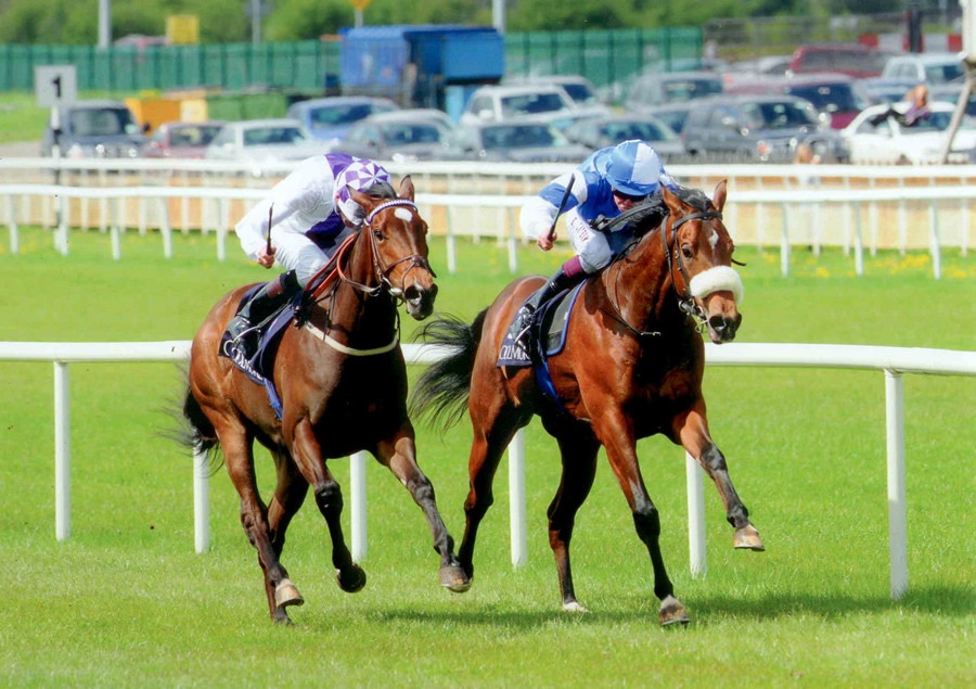 Clondinnery Curragh 3rd May